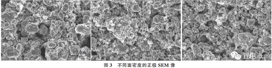 不同面密度的正極SEM像 不同面密度的正極SEM像